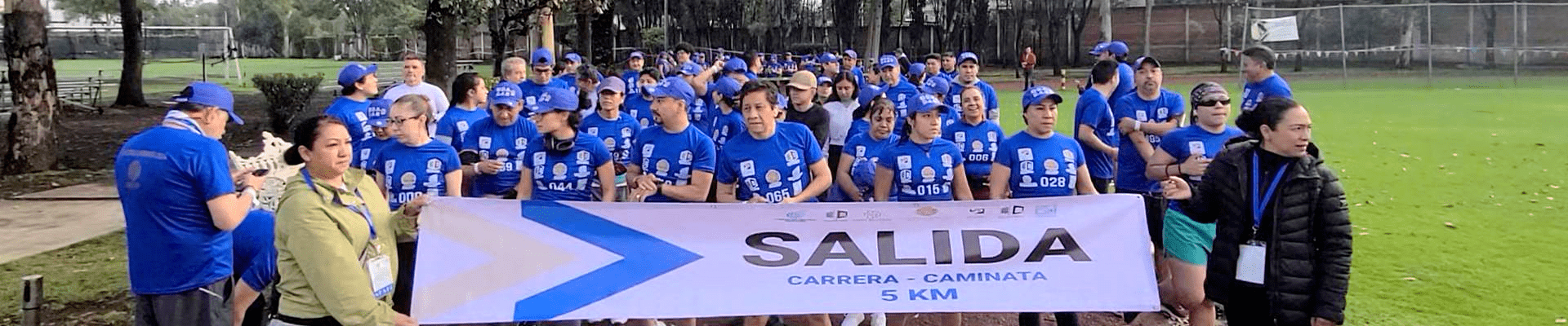 que-es-la-amcp